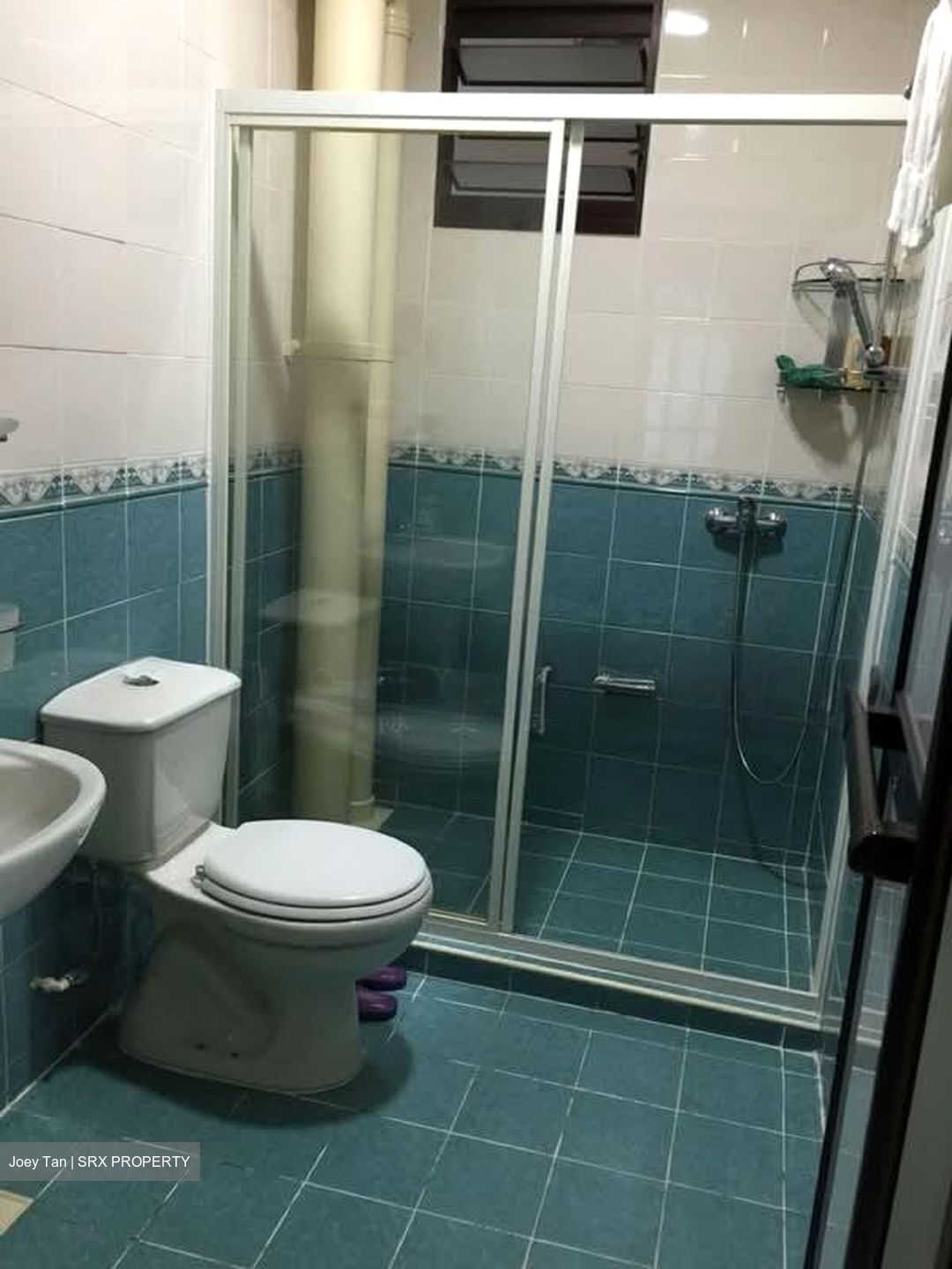 Blk 650 Senja Link (Bukit Panjang), HDB Executive #559289261
